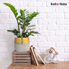 Ghiveci ceramic neglazurat pentru flori plante 12 cm set 2 bucăți - Culoare gri