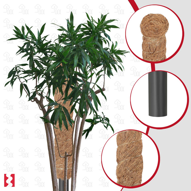 Țăruș pentru plante de nucă de cocos 60 cm x 32 mm set de 2 buc.