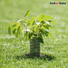 Husa de protecție a trunchiului de copac verde 26 cm set de 8 buc.