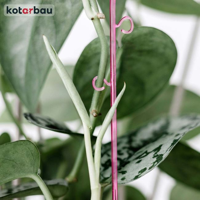 Suport de plante din plastic roz 58 cm set de 6 buc.