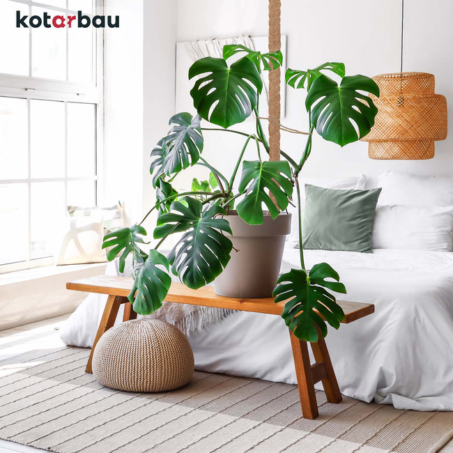 Țăruș pentru plante de nucă de cocos 120 cm x 32 mm