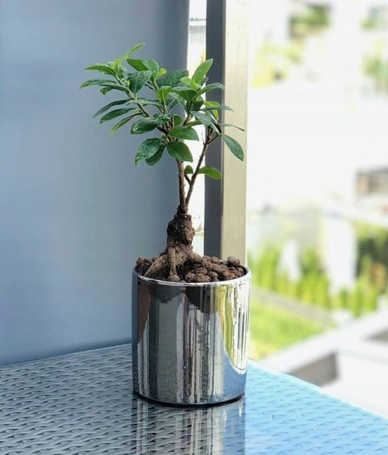 Ghiveci de flori argint ceramică lucioasă fi 200
