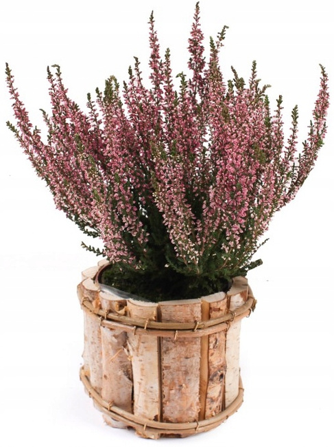 Capac rotund de lemn pentru cutia de flori ⌀12 cm